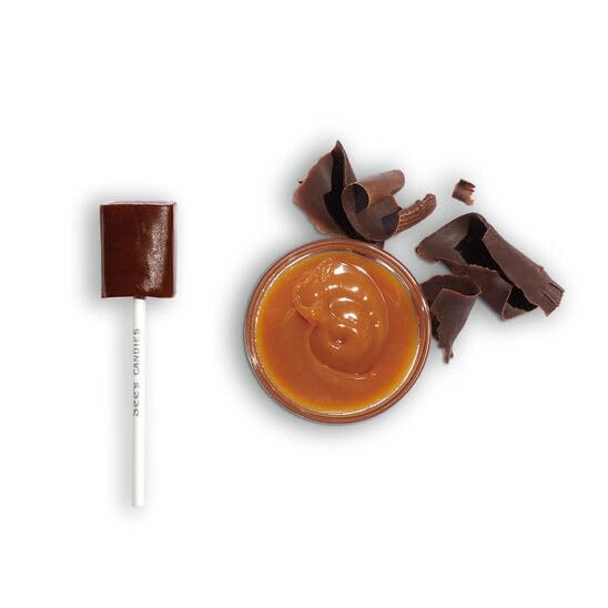 See's Candies 5.6 oz Chocolate Caramel Lollypops